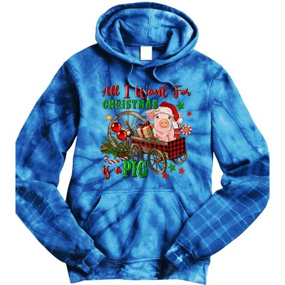 All I Want For Christmas Is A Pig Merry Christmas Pajamas Gift Tie Dye Hoodie