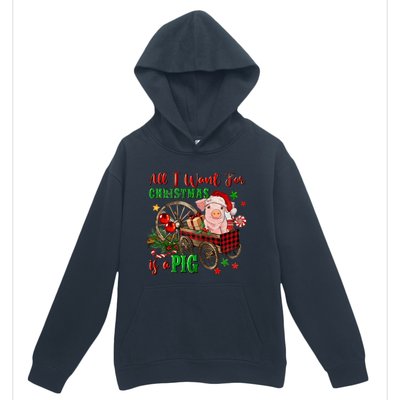 All I Want For Christmas Is A Pig Merry Christmas Pajamas Gift Urban Pullover Hoodie