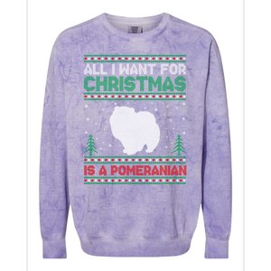 All I Want For Xmas Is A Pomeranian Dog Ugly Xmas Sweater Meaningful Gift Colorblast Crewneck Sweatshirt