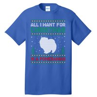 All I Want For Xmas Is A Pomeranian Dog Ugly Xmas Sweater Meaningful Gift Tall T-Shirt