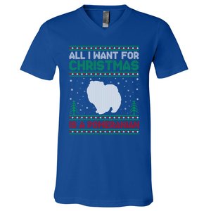 All I Want For Xmas Is A Pomeranian Dog Ugly Xmas Sweater Meaningful Gift V-Neck T-Shirt