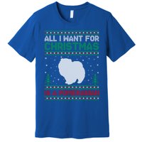 All I Want For Xmas Is A Pomeranian Dog Ugly Xmas Sweater Meaningful Gift Premium T-Shirt