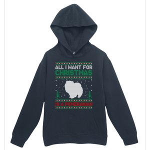 All I Want For Xmas Is A Pomeranian Dog Ugly Xmas Sweater Meaningful Gift Urban Pullover Hoodie