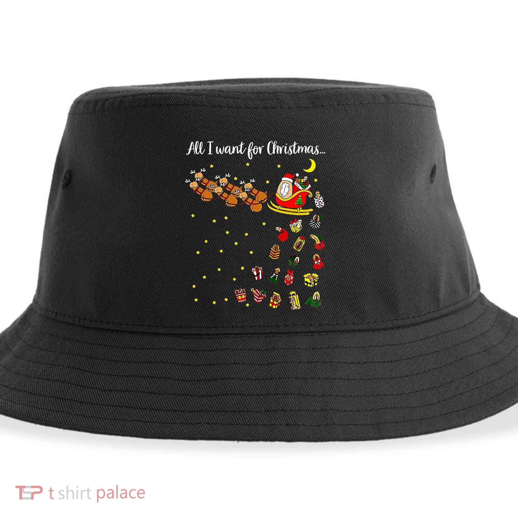 All I Want For Christmas Is D Merry Dickmas Dirty Christmas Sustainable Bucket Hat