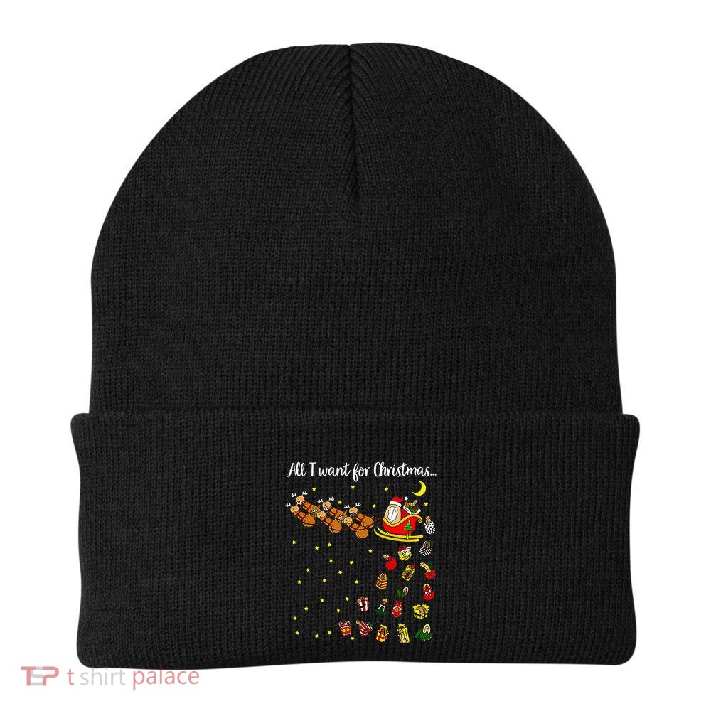 All I Want For Christmas Is D Merry Dickmas Dirty Christmas Beanie