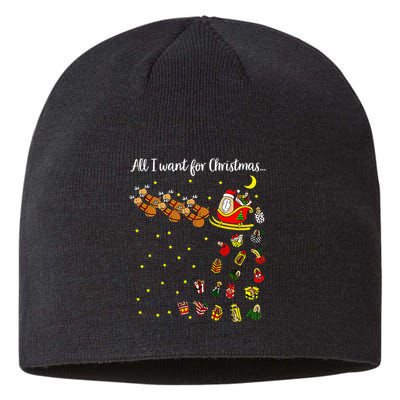 All I Want For Christmas Is D Merry Dickmas Dirty Christmas Sustainable Beanie