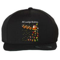 All I Want For Christmas Is D Merry Dickmas Dirty Christmas Wool Snapback Cap