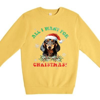 All I Want For Christmas Xmas Gifts For Dachshund Lovers  Premium Crewneck Sweatshirt