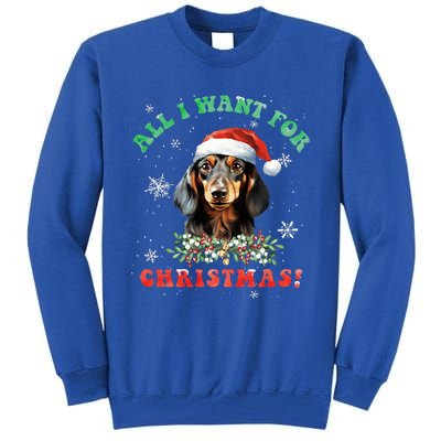 All I Want For Christmas Xmas Gifts For Dachshund Lovers  Tall Sweatshirt