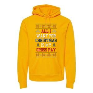 All I Want For Christmas Is My Gross Pay Joke Premium Hoodie