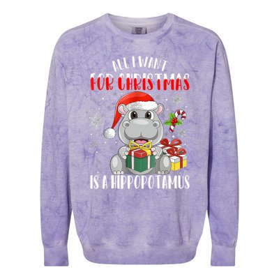 All I Want For Christmas Is A Hippopotamus Xmas Hippo Cool Gift Colorblast Crewneck Sweatshirt