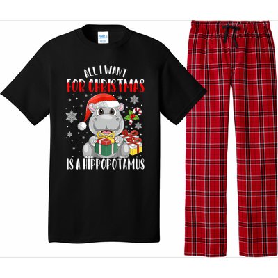 All I Want For Christmas Is A Hippopotamus Xmas Hippo Cool Gift Pajama Set