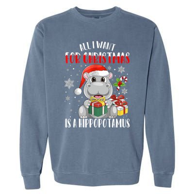 All I Want For Christmas Is A Hippopotamus Xmas Hippo Cool Gift Garment-Dyed Sweatshirt