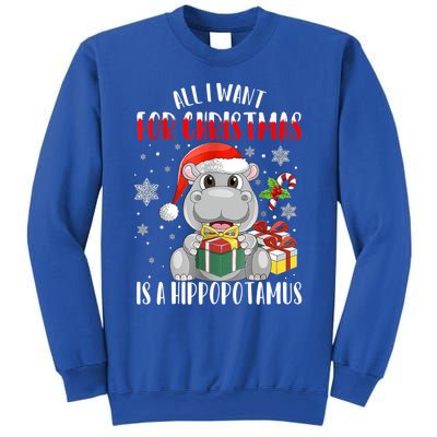 All I Want For Christmas Is A Hippopotamus Xmas Hippo Cool Gift Sweatshirt