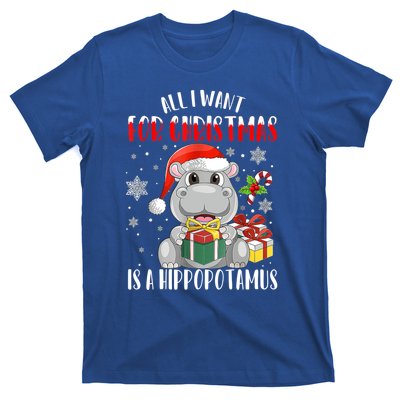 All I Want For Christmas Is A Hippopotamus Xmas Hippo Cool Gift T-Shirt