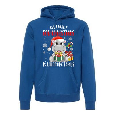 All I Want For Christmas Is A Hippopotamus Xmas Hippo Cool Gift Premium Hoodie