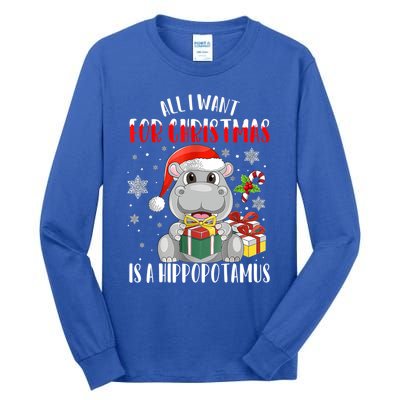 All I Want For Christmas Is A Hippopotamus Xmas Hippo Cool Gift Tall Long Sleeve T-Shirt