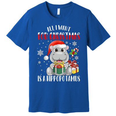 All I Want For Christmas Is A Hippopotamus Xmas Hippo Cool Gift Premium T-Shirt