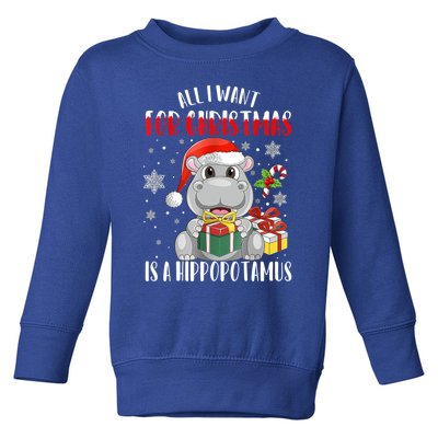 All I Want For Christmas Is A Hippopotamus Xmas Hippo Cool Gift Toddler Sweatshirt