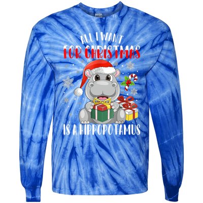 All I Want For Christmas Is A Hippopotamus Xmas Hippo Cool Gift Tie-Dye Long Sleeve Shirt