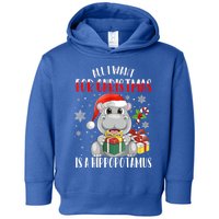 All I Want For Christmas Is A Hippopotamus Xmas Hippo Cool Gift Toddler Hoodie