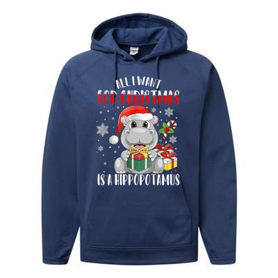 All I Want For Christmas Is A Hippopotamus Xmas Hippo Cool Gift Performance Fleece Hoodie