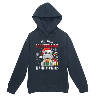 All I Want For Christmas Is A Hippopotamus Xmas Hippo Cool Gift Urban Pullover Hoodie