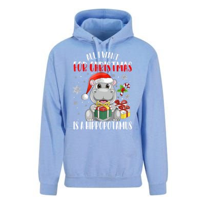 All I Want For Christmas Is A Hippopotamus Xmas Hippo Cool Gift Unisex Surf Hoodie