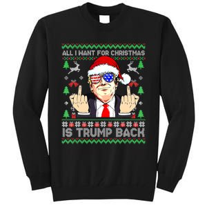 All I Want For Christmas Is Trump Back 2024 Ugly Xmas Tall Sweatshirt