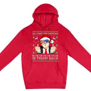 All I Want For Christmas Is Trump Back 2024 Ugly Xmas Premium Pullover Hoodie