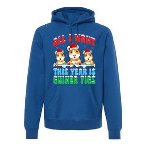 All I Want This Year Is Guinea Pig Wearing Christmas Hat Great Gift Premium Hoodie