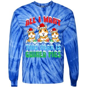 All I Want This Year Is Guinea Pig Wearing Christmas Hat Great Gift Tie-Dye Long Sleeve Shirt