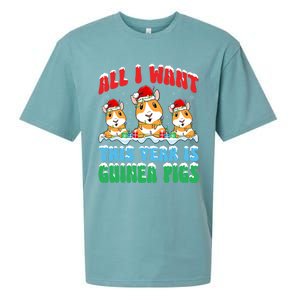 All I Want This Year Is Guinea Pig Wearing Christmas Hat Great Gift Sueded Cloud Jersey T-Shirt