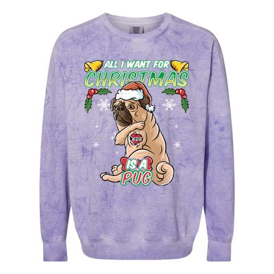 All I Want For Christmas Is A Pug Santa Claus Santa Claus Gift Colorblast Crewneck Sweatshirt