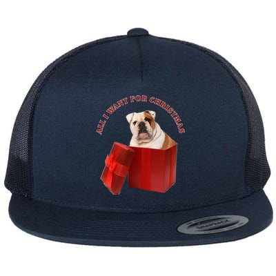 All I Want For Christmas English Bulldog Funny Gift Flat Bill Trucker Hat