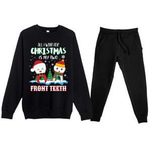 All I Want For Christmas Is My Two Front Teeth Xmas Gift Premium Crewneck Sweatsuit Set