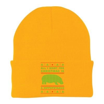 All I Want For Christmas Is A Hippopotamus Cute Ugly Christmas Knit Cap Winter Beanie