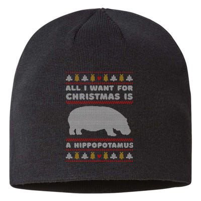 All I Want For Christmas Is A Hippopotamus Cute Ugly Christmas Sustainable Beanie