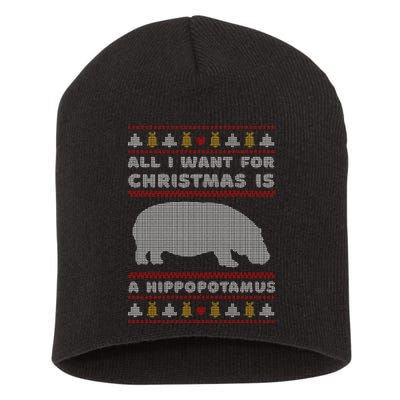 All I Want For Christmas Is A Hippopotamus Cute Ugly Christmas Short Acrylic Beanie