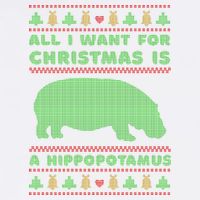 All I Want For Christmas Is A Hippopotamus Cute Ugly Christmas Garment-Dyed Sweatshirt