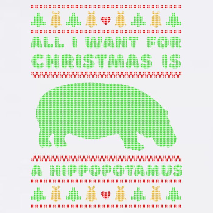 All I Want For Christmas Is A Hippopotamus Cute Ugly Christmas Garment-Dyed Sweatshirt