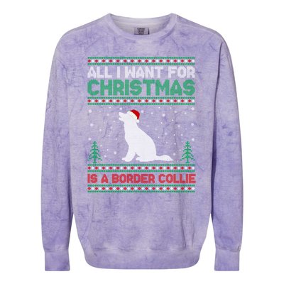 All I Want For Xmas Is A Border Collie Dog Ugly Xmas Sweater Gift Colorblast Crewneck Sweatshirt