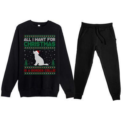 All I Want For Xmas Is A Border Collie Dog Ugly Xmas Sweater Gift Premium Crewneck Sweatsuit Set