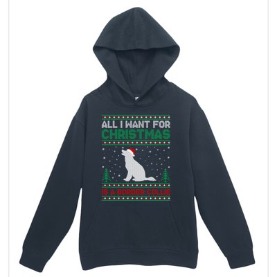 All I Want For Xmas Is A Border Collie Dog Ugly Xmas Sweater Gift Urban Pullover Hoodie