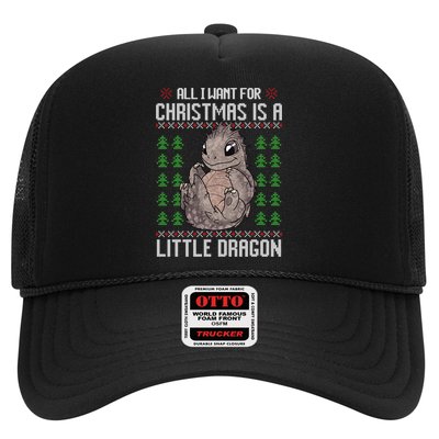 All I Want For Christmas Is A Dragon Ugly Xmas Sweater Gift Hat