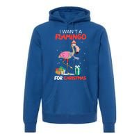 All I Want For Christmas Is A Flamingo Warm Weather Gift Premium Hoodie