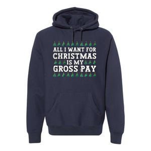 All I Want For Christmas Is My Gross Pay Premium Hoodie