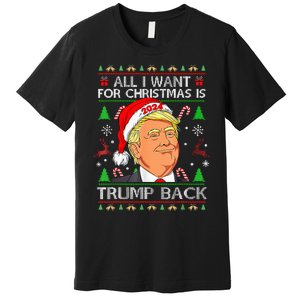 All I Want For Christmas Is Trump Back 2024 Premium T-Shirt