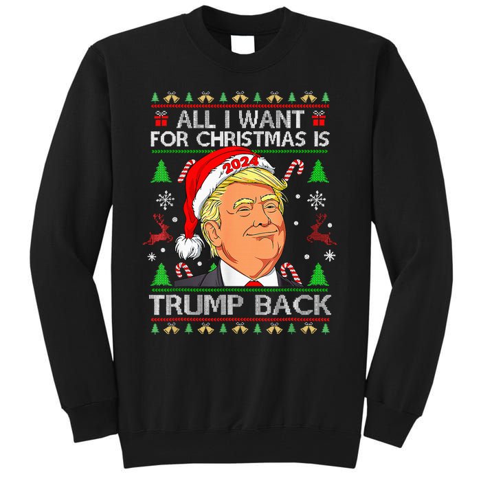 All I Want For Christmas Is Trump Back 2024 Tall Sweatshirt