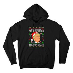 All I Want For Christmas Is Trump Back 2024 Tall Hoodie